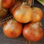 Onions: ఉల్లిపాయలను కొద్ది రోజులపాటు తినకపోతే ఏమవుతుంది? అంత నష్టమా?